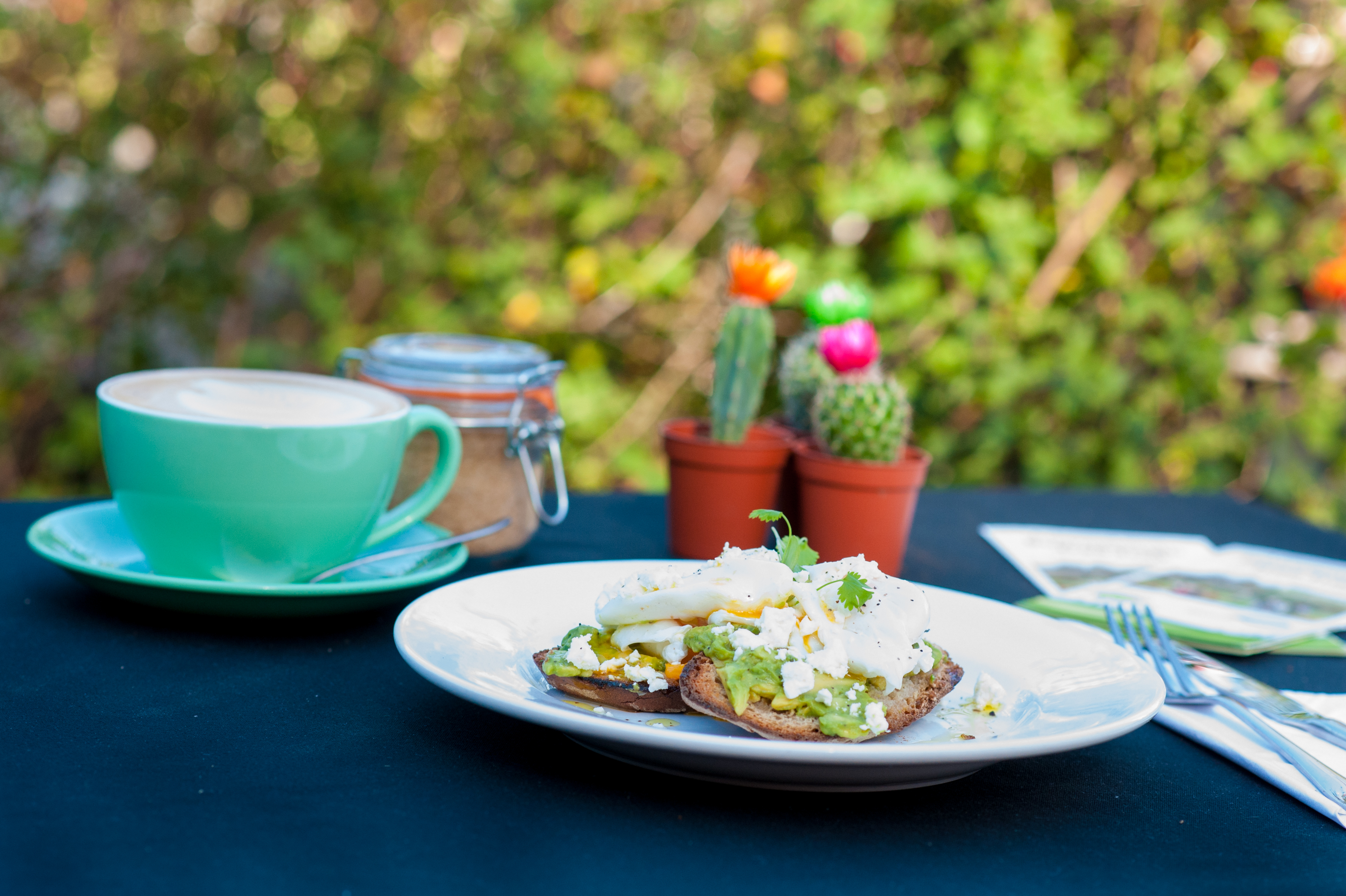 Food and drink on a table with cacti in the background