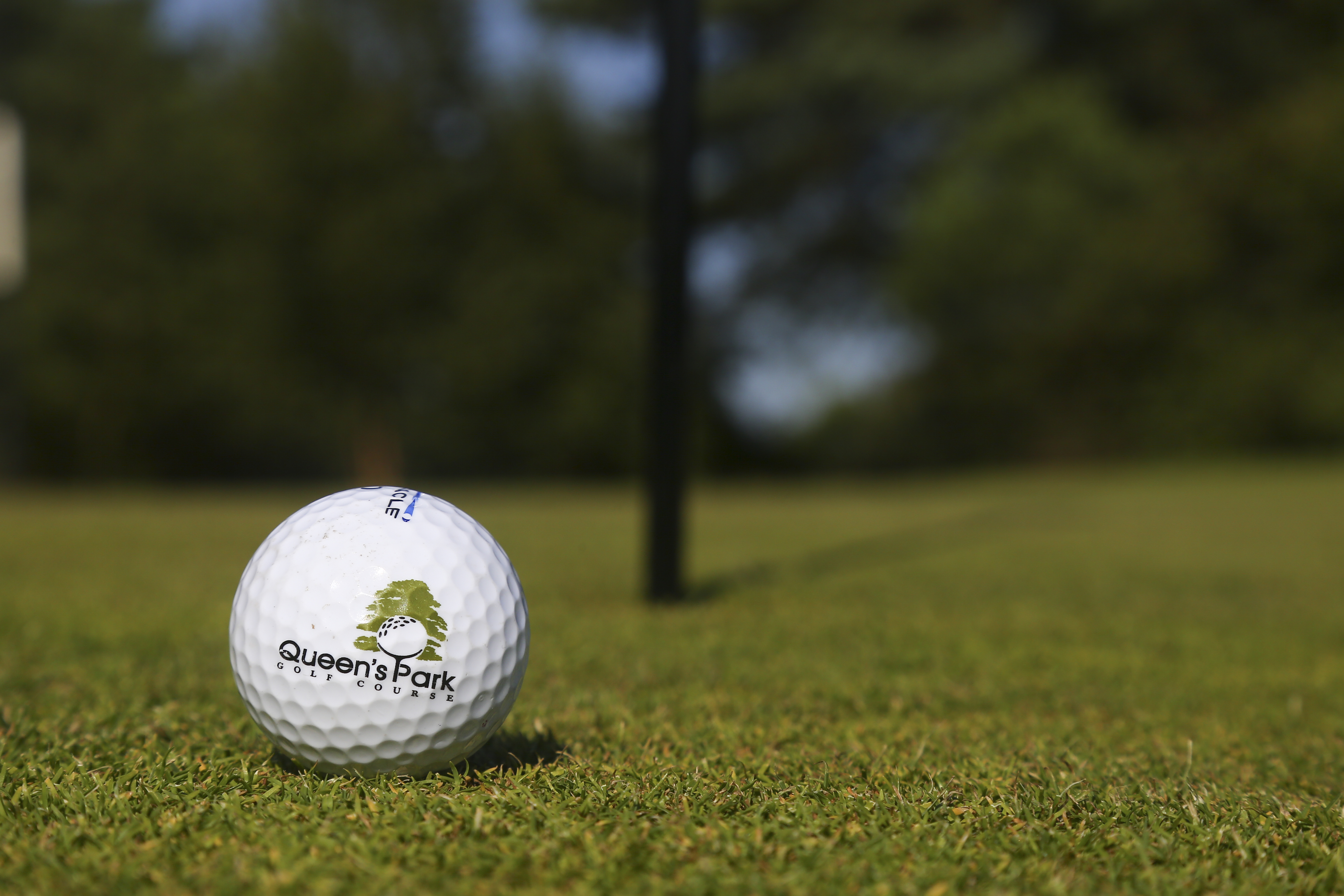 Golf ball showing the Queen's Park logo
