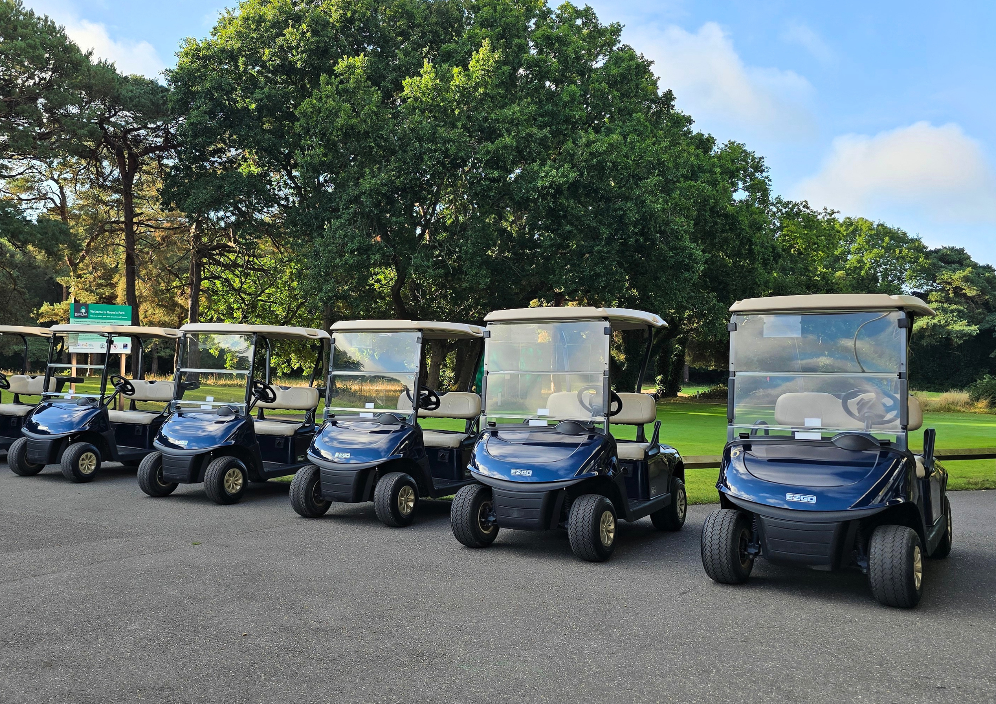 Queens Park 8 Buggy Lineup