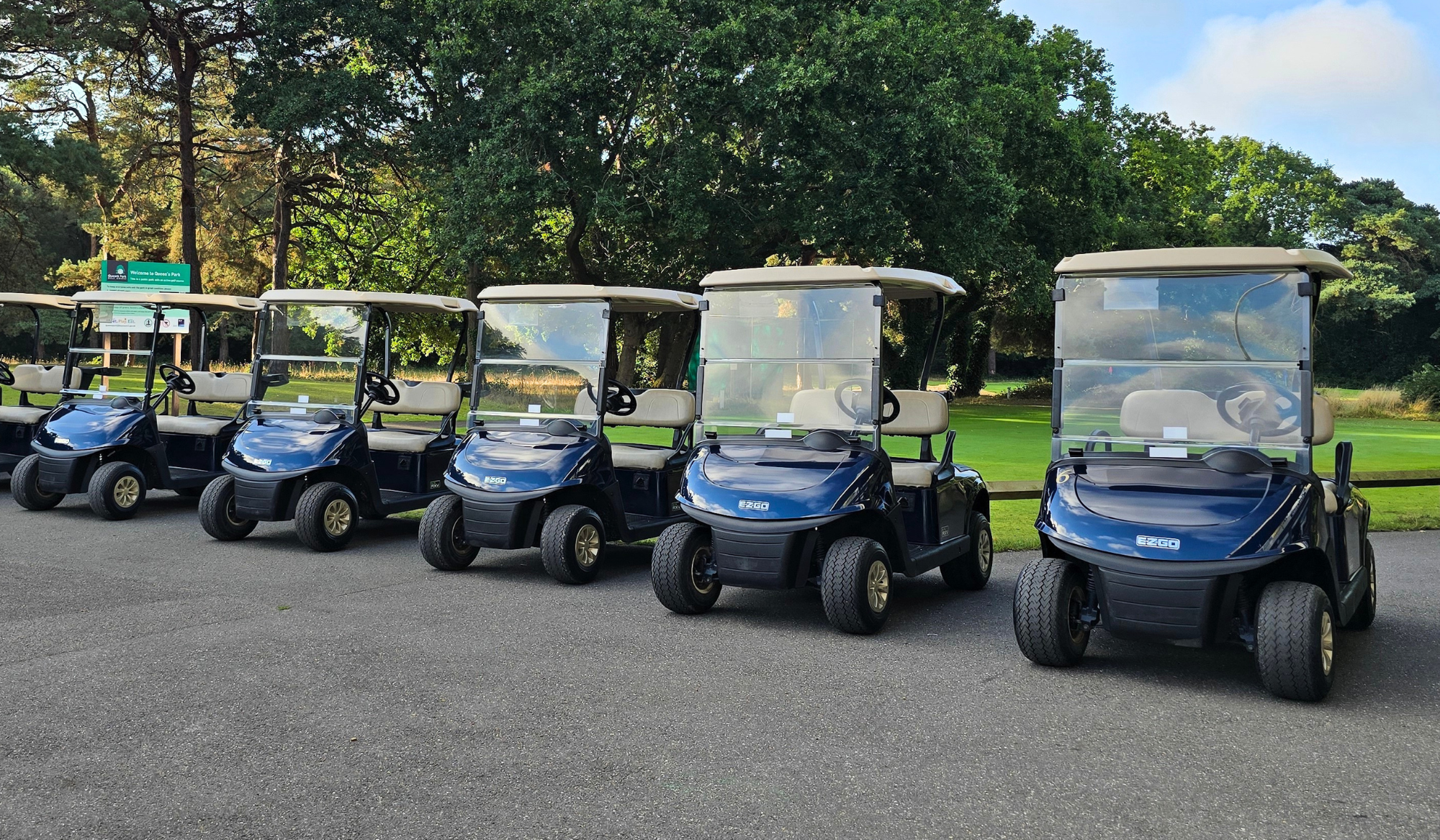Queens Park 8 Buggy Lineup