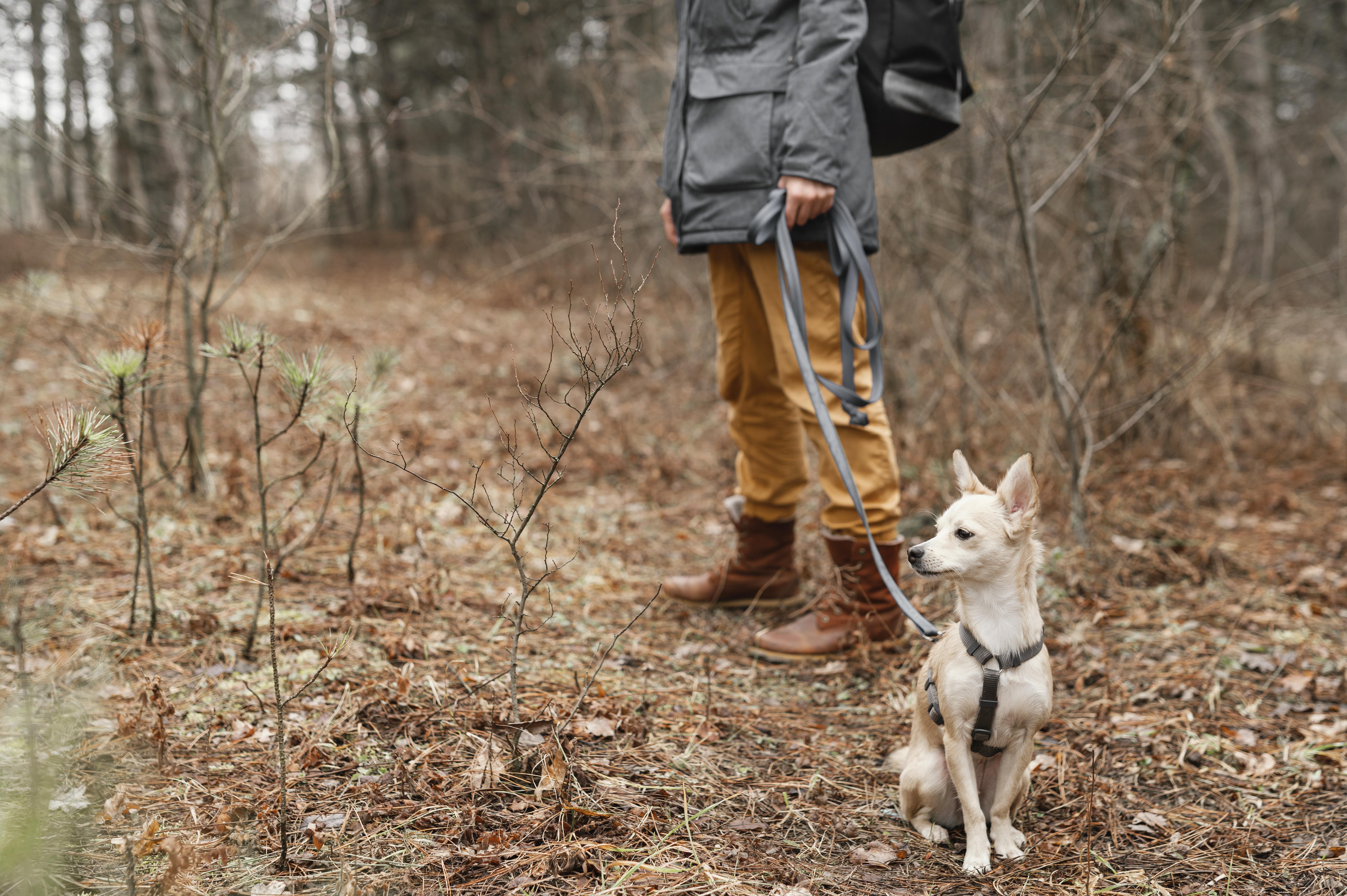 Person holding a dog on a lead on the trails